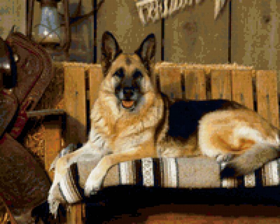 96565 - природа, животные, собаки, щенки - предпросмотр