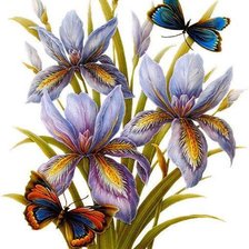 Схема вышивки «Variant 1»