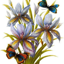 Схема вышивки «Variant 2»