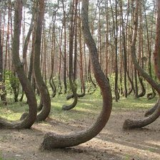 Схема вышивки «природа»