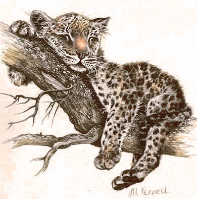 Variant 1 - leopard - оригинал