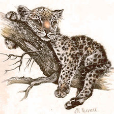 Схема вышивки «Variant 2»