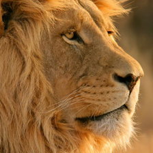 Схема вышивки «№41694»