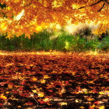 Схема вышивки «№41696»