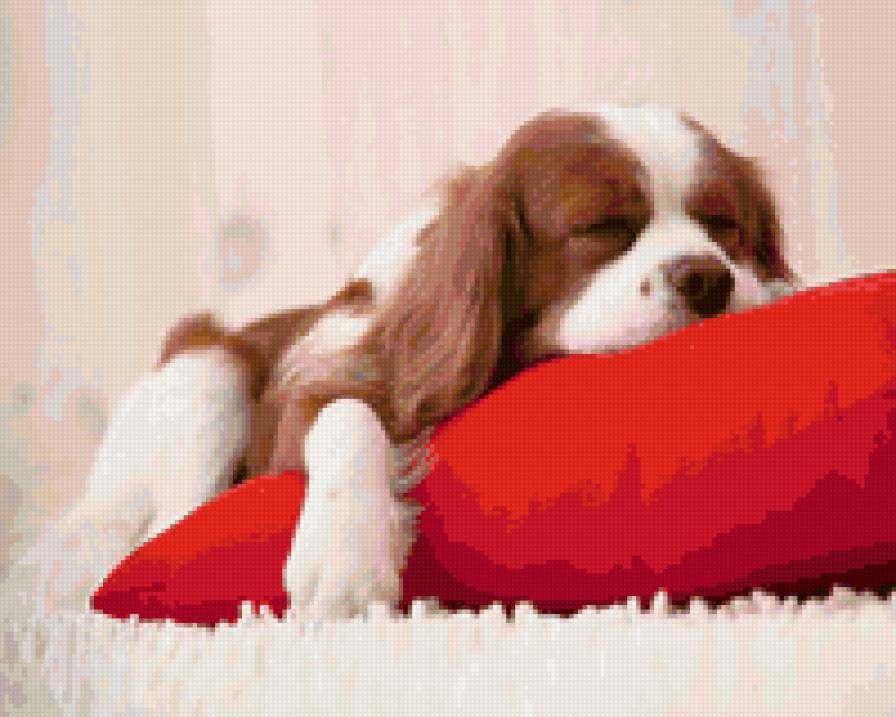 64485 - животные, природа, собаки, щенки - предпросмотр