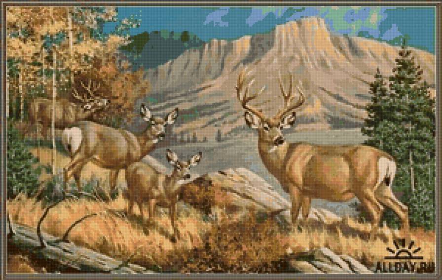 №41726 - предпросмотр