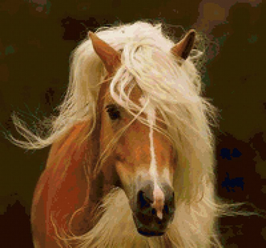 №41856 - предпросмотр