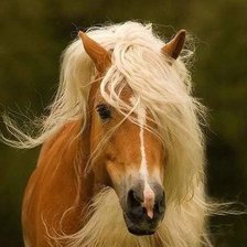 Схема вышивки «№41856»