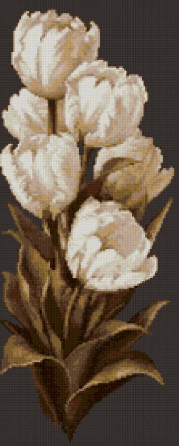 тюльпаны - предпросмотр