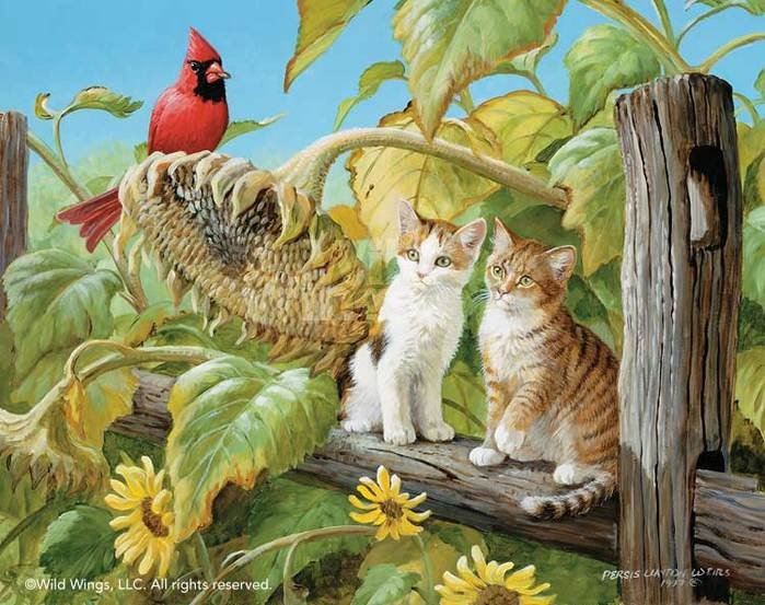 0013 - картина, красота, живопись, животные, кошка, природа, лето - оригинал