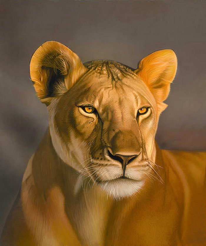 Красавец - оригинал