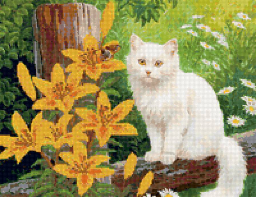 Кошка на лужайке - кот, цветы, лужайка, лилии, животные - предпросмотр