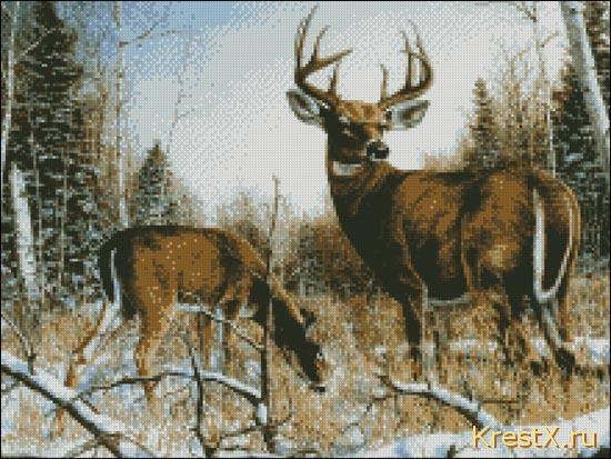 "Олени в лесу" - животные - оригинал