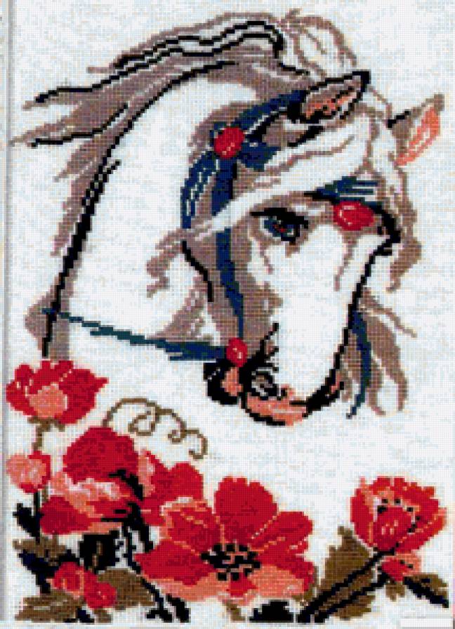 №42536 - лошадь - предпросмотр