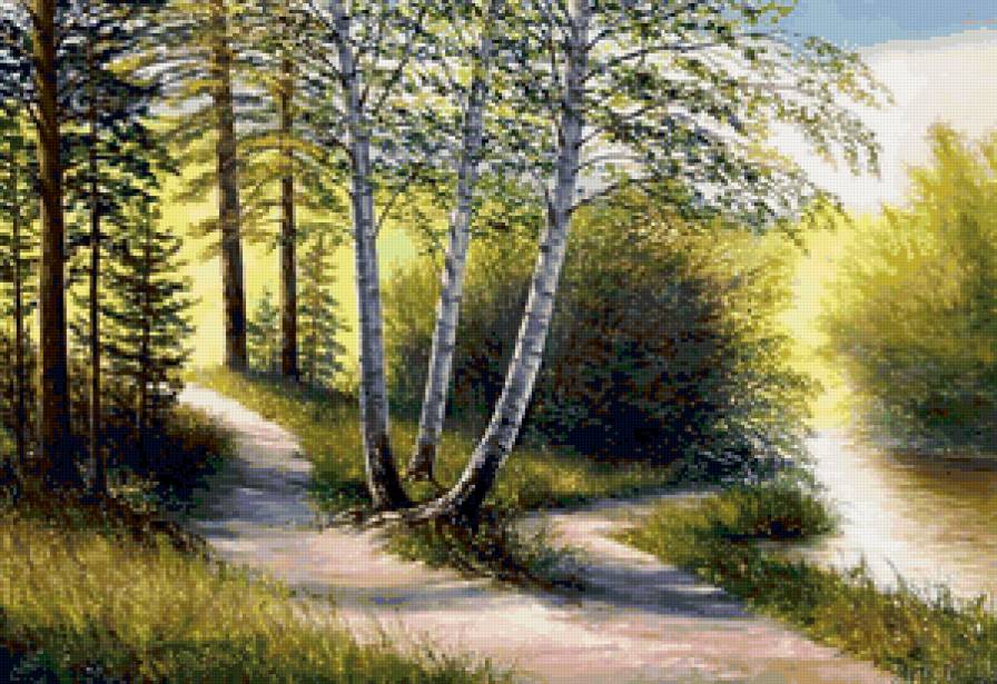 Березы - березы - предпросмотр