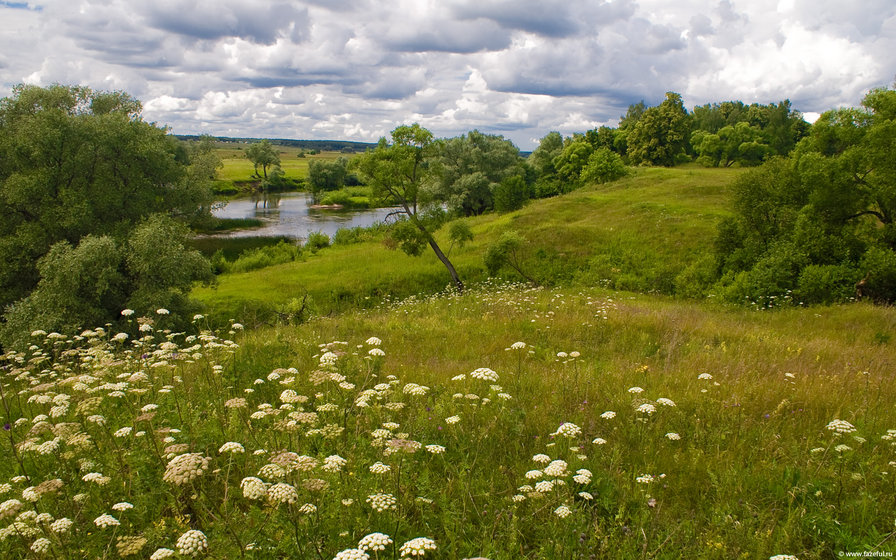 №42604 - оригинал