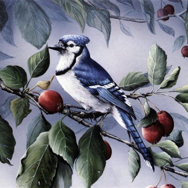 №42618 - птицы, подушка, ягоды, подушки, листья - оригинал