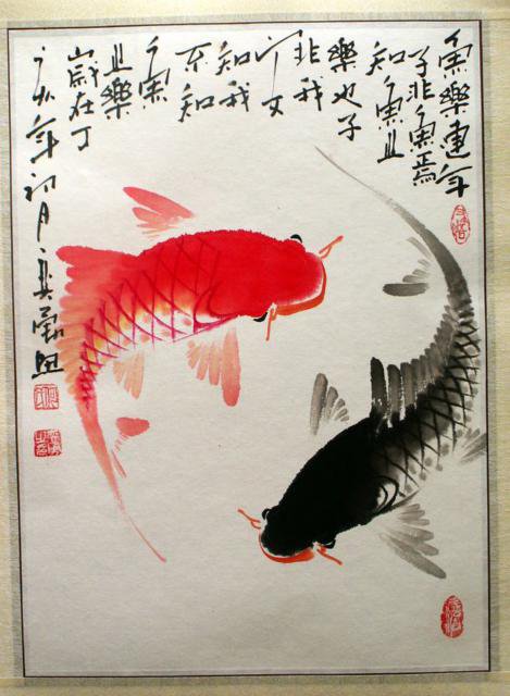 карпы - рыба, карпы, пруд - оригинал