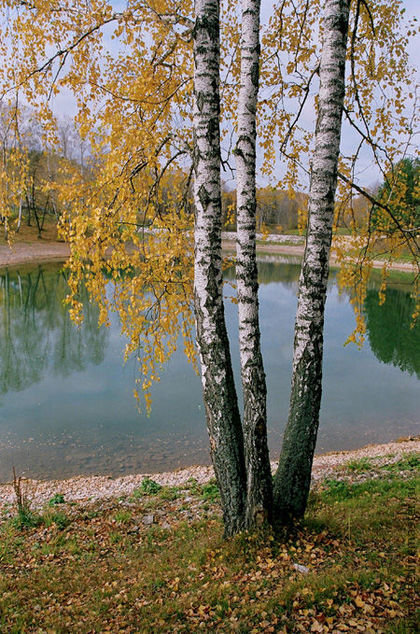 №42844 - оригинал