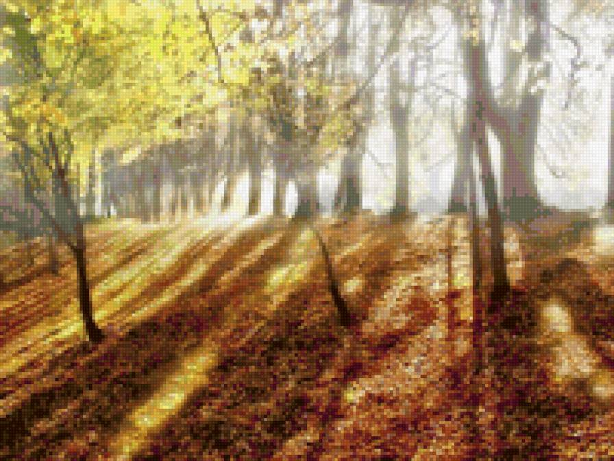 осеннее утро - осень - предпросмотр