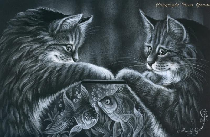 Кошки - кошки - оригинал