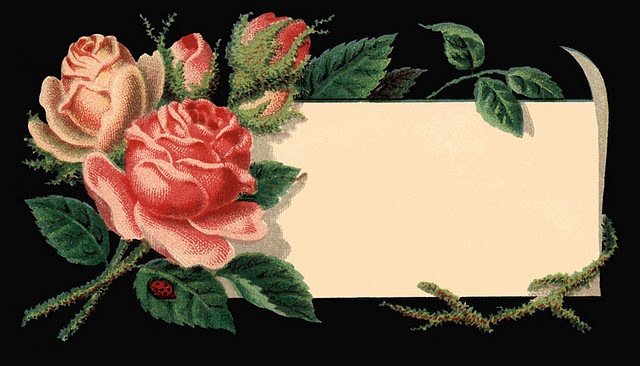 Серия "Цветы" - розы, цветы - оригинал