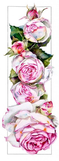 Серия "Цветы" - цветы, розы - оригинал