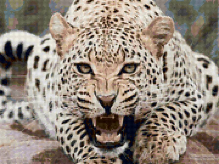 гепард - предпросмотр