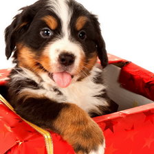 Схема вышивки «636»