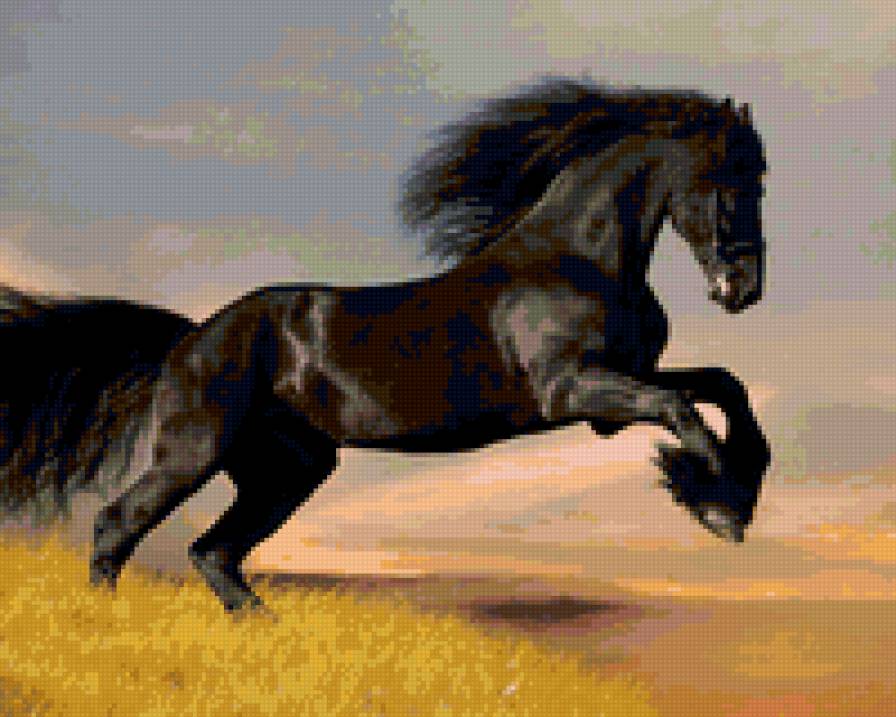 7/9 - природа, лошади, животные, красота - предпросмотр