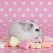 Схема вышивки «541»