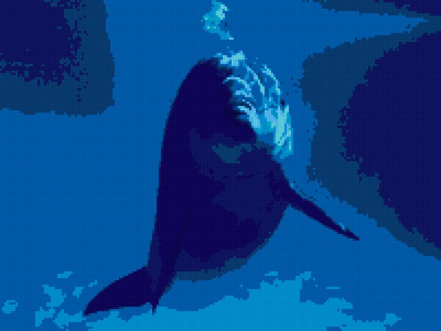 дельфин3 - дельфин, животные, природа - предпросмотр