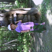 Схема вышивки «ольга»