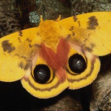 Схема вышивки «№43411»