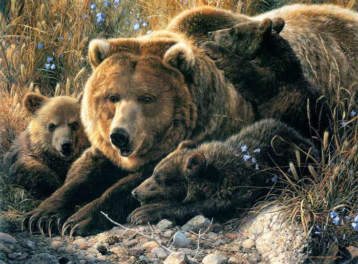 Медвежья семья - животные, медведи - оригинал