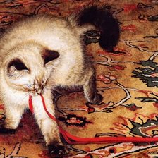 Схема вышивки «Серия "Кошки"»