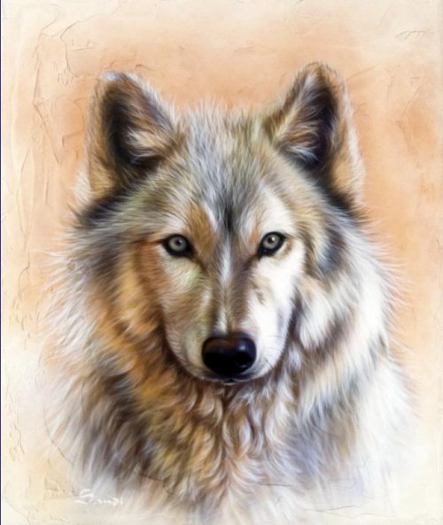 Серия "Волки" - волки, животные - оригинал