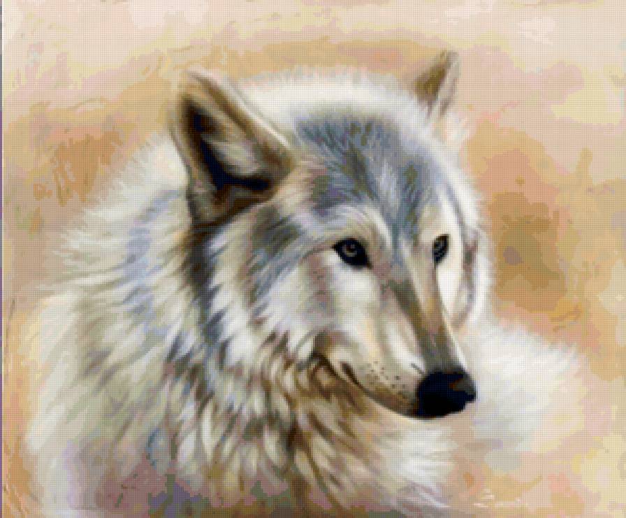 Серия "Волки" - животные, волки - предпросмотр