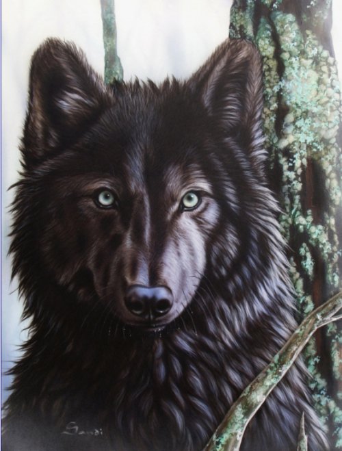 Серия "Волки" - волки, животные - оригинал