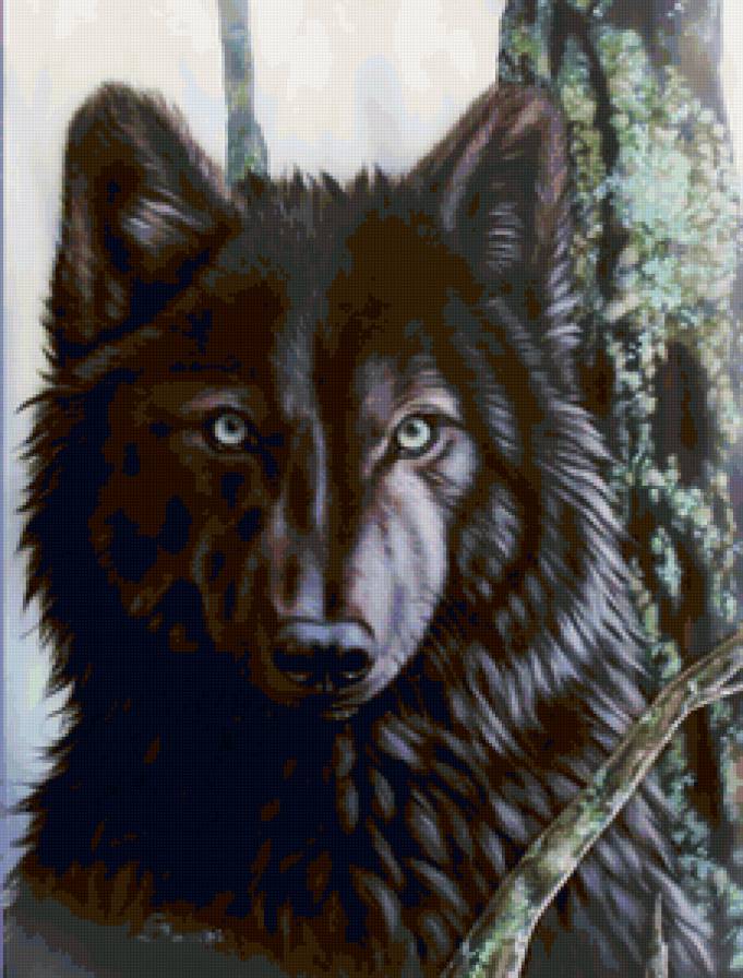 Серия "Волки" - волки, животные - предпросмотр