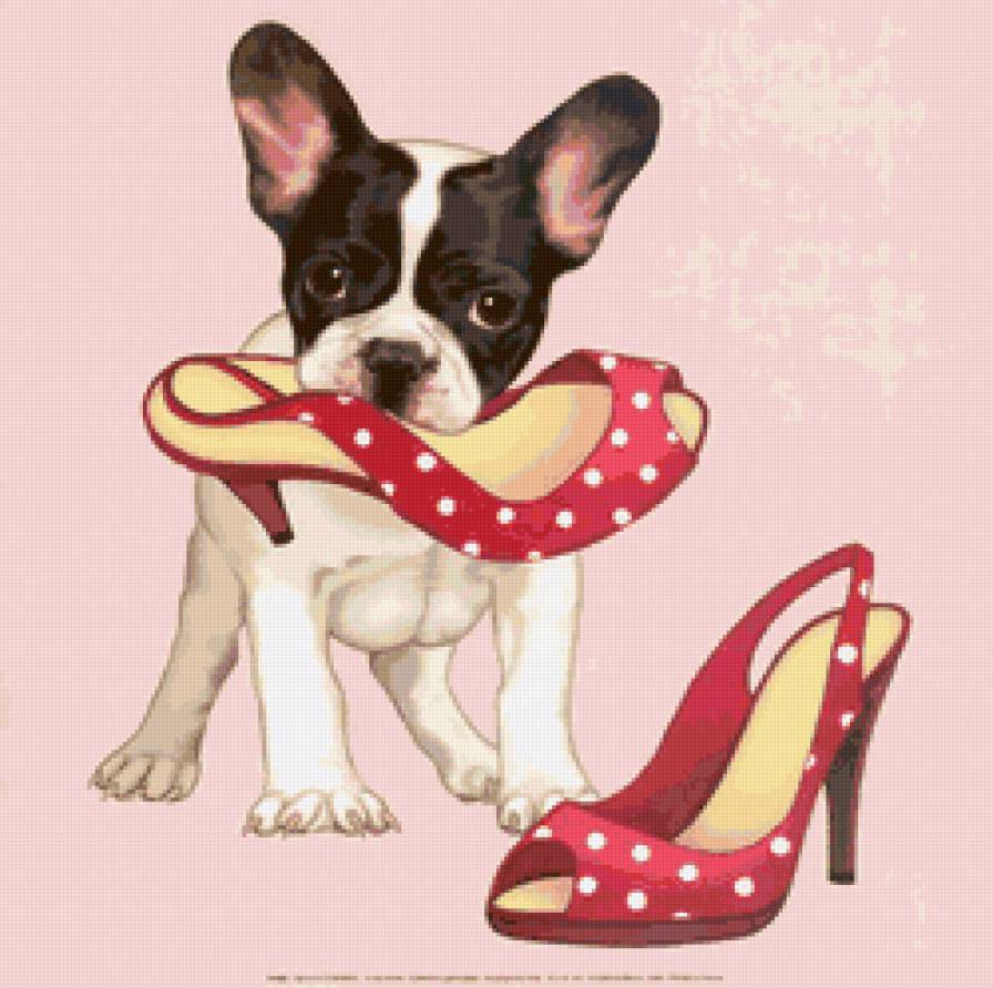 Щенок - животные, собака - предпросмотр