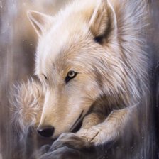 Схема вышивки «Серия "Волки"»