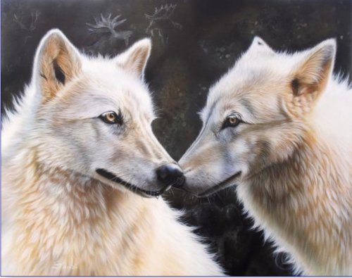 Серия "Волки" - животные, волки, пара - оригинал