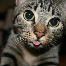 Схема вышивки «:Р»