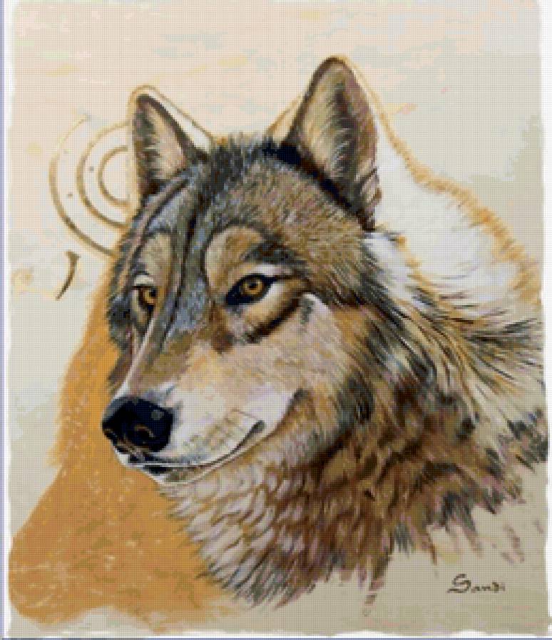 Серия "Волки" - волки, животные - предпросмотр