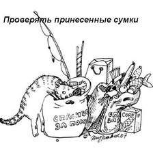 Схема вышивки «что должен уметь кот»