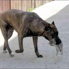 Схема вышивки «6781»