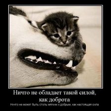 Схема вышивки «доброта1»