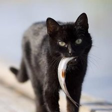 Схема вышивки «добыча»