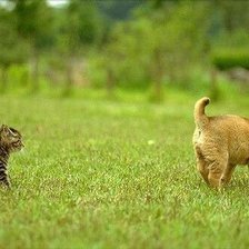 Схема вышивки «866»